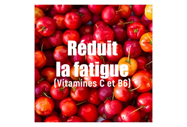 Boisson Énergétique Overstims Hydrixir Antioxydant Fruits Rouges 3Kg 6 Boisson Énergétique Overstims Hydrixir Antioxydant Fruits Rouges 3Kg – Image 6