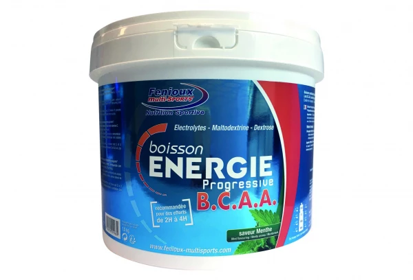 Fenioux Multi-Sports Boisson énergétique Fenioux Energie Progressive BCAA Menthe 1,5kg 1 Fenioux Multi-Sports Boisson énergétique Fenioux Energie Progressive BCAA Menthe 1,5kg