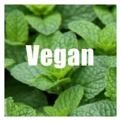 Barre énergétique Overstims Origin Bar Chocolat Amande -Accessoires, Nutrition & Soins du Corps Gravel Soldes unnamed file 1434