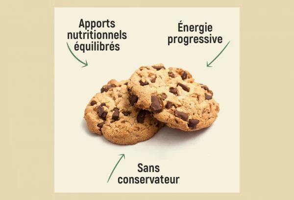 Gateau Energetique Overstims Gatosport Muffins Cookies 400g 3 Gateau Energetique Overstims Gatosport Muffins Cookies 400g – Image 3