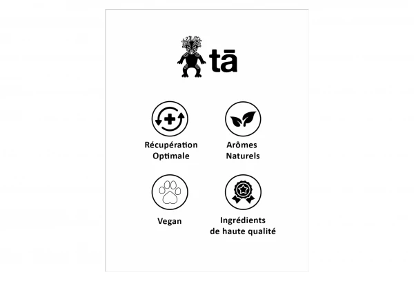 Tā Energy Boisson De Récupération TA Energy Recovery Smoothie Double Chocolat 600gr 7 Tā Energy Boisson De Récupération TA Energy Recovery Smoothie Double Chocolat 600gr – Image 7