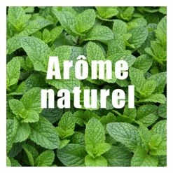 Boisson Energétique Overstims Hydrixir BIO Menthe 2.5 Kg -Accessoires, Nutrition & Soins du Corps Gravel Soldes unnamed file 959